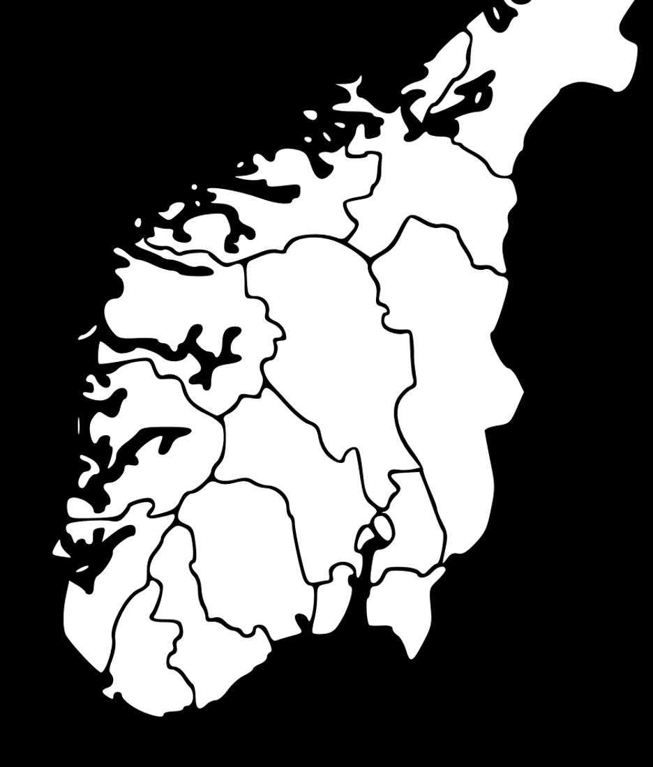 Geografisk fordeling av arbeidssted New York 1% London 1% Trondheim 5% Bergen 4% Stavanger 1% Oslo 88% Grafen viser at 88 % jobber i Oslo.