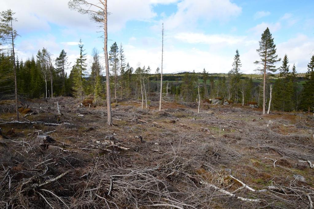 Rapport 11927001-R04-A00 Ingeniørgeologisk rapport reguleringsplan - Vindåsliene Statens Vegvesen