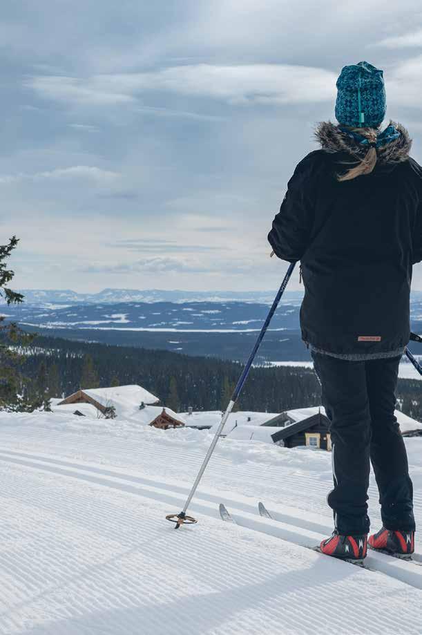 Ringsaker kommune er landets største hyttekommune.