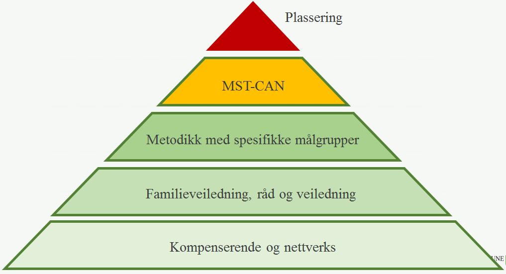 MST-CAN Teamet i Bærum Initiativ i 2013 Samarbeid mellom Bærum og