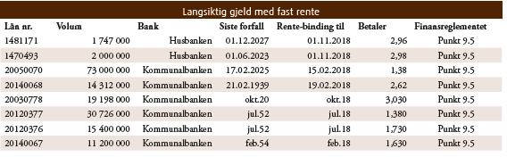 finansreglementet. Det ble ikke tatt opp lån til investeringer i 2017.