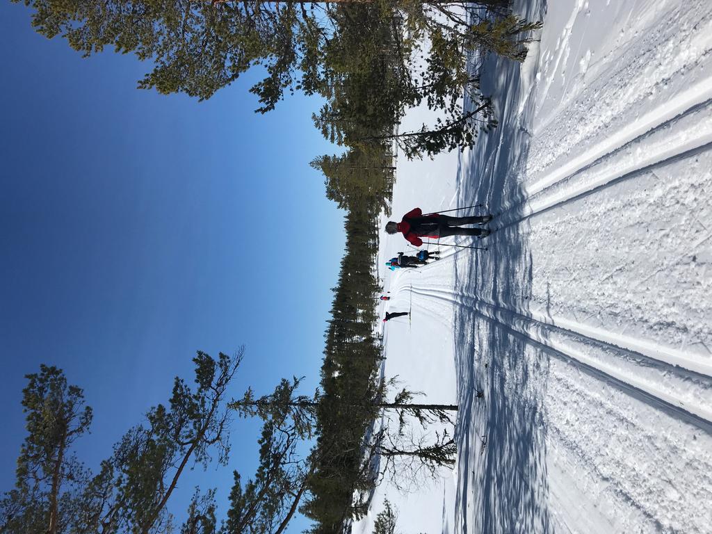 HÅNDBALL I 2018 har vi ikke klart å gjennomføre håndball for de minste alderstrinnene.