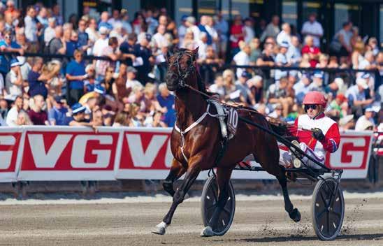 8. og 9. juni 2019 V75 lørdag fra 13.00 Søndag fra kl. 12.00: V75 og Tipster Oslo Grand Prix med verdens beste hester!