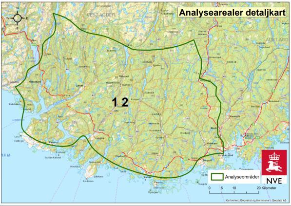 regional betydning Fugl og flaggermus: Særlig