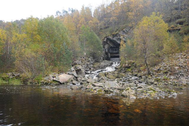 Elven er kunstig og ble anlagt i forbindelse med overføringen fra Botnavatnet til Blomdalsvatnet. Hele elven fra innsjøen opp til oppgangshinderet ble elektrofisket.