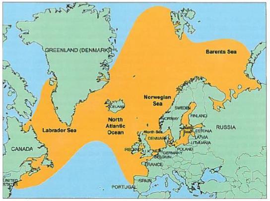 Isen begynte å trekke seg tilbake, og for 13 000 år siden var den ytre kyst blitt isfri i Norge.