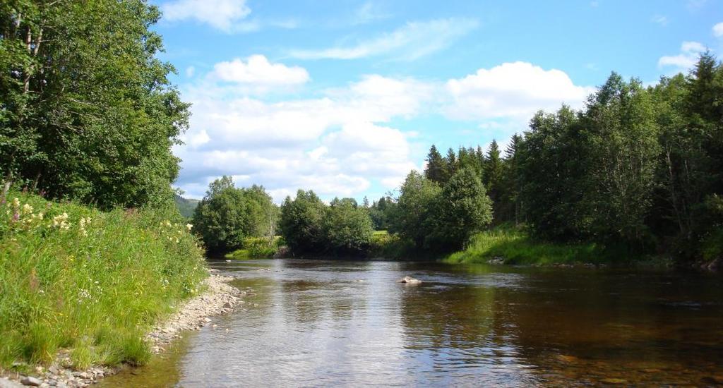 For første gang måtte styret endre fiskereglene til lett fiske fra