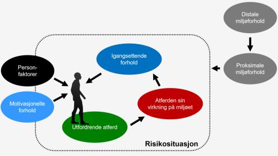 Multimodal funksjonell analyse 18.03.2019 v/ psykologspesialist Nils-Øivind Offernes Avdeling for nevrohabilitering, Oslo universitetssykehus Hva er funksjonell analyse?