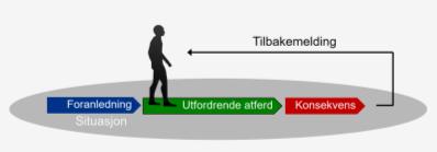 Funksjonell analyse Foranledninger S1 S3 S5 Finnes det faste mønstre i relasjonene mellom Foranledninger - Konsekvenser?