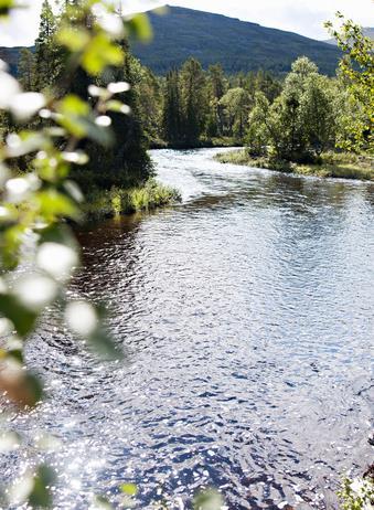 START PÅ 2019 SOM FORVENTET HØY UTLÅNSVEKST SISTE 12 MÅNEDER OG GOD INNSKUDDSVEKST I SAMME PERIODE Avtagende utlånsvekst i 1.