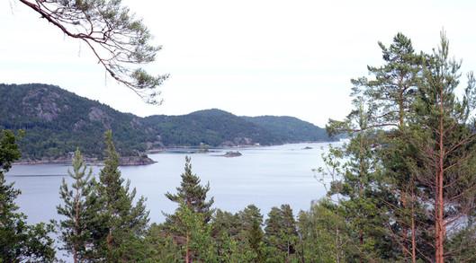 I vår la vi ut to frittliggende tomter som er byggeklare med vei, strøm, vann og kloakk fram til tomtegrensa. En av tomtene er nå solgt, men vi har fortsatt en kremtomt igjen.