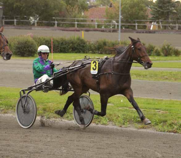 9 2017: 2-0 -0-0 -0-0 2016: 0-0 -0-0 -0-0 Bad Boy Division 9 0 3 år Brun V v. L'Ideal Bricois (FR) e. Quantas Ada (S) v. Super Arnie (US) Eina Avlssenter DA /Eina Andre H.