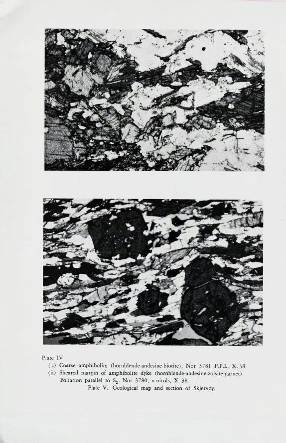 Piate IV ( i) Coarse amphibolite (hornblende-andesine-biotite), Nor 3781 P.P.L. X. 38.