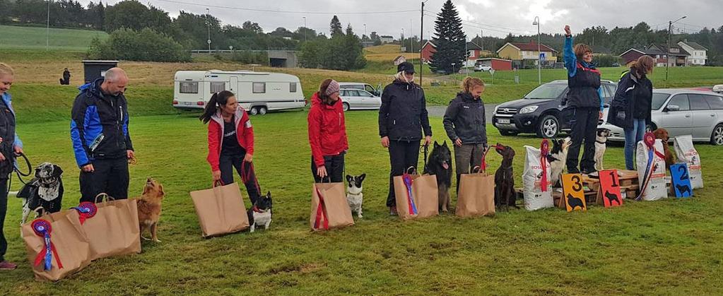 NM 2018 Teknisk arrangør var Orkdal hundeklubb og stevnet gikk i Trøndelag, nærmere bestemt i Malvik 17-19. august.