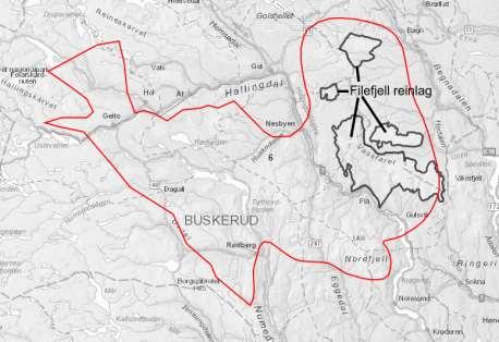 2.2 Analyseområde 6 Filefjell reinlag 2.2.1 Enkeltvis vurdering av tamreinlagene Filefjell Reinlag Analyseområde nr.