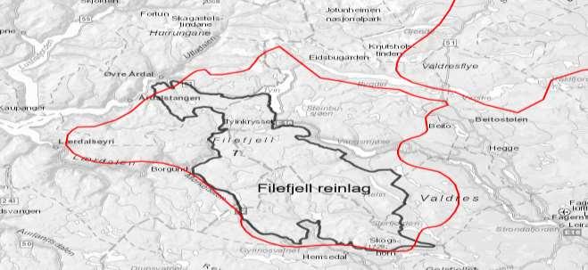 Filefjell Reinlag Analyseområde nr.