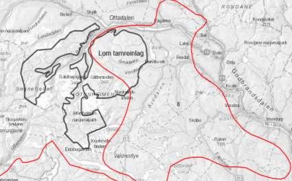 Lom Tamreinlag Analyseområde nr. 8 Oppland fylke Kommuner: Lom og Vang kommuner Nøkkeltall Minimumsbeite Særverdiområder innenfor analyseområdet Gj.snitt. reintall (10 år 2 352 f.o.m reindriftsåret 2007/2008) Årlig kjøttproduksjon Ca.