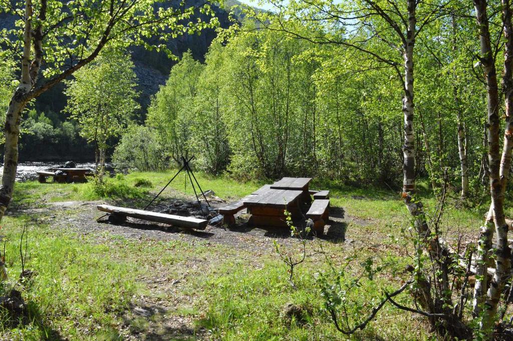 Rasteplassen før tiltak Gammehuk 2013