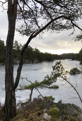 4 km èn veg 2,5 timer tur/retur Svak stigning Sett bilen på parkeringsplassen ved lysløypa på Dønnestad. Legg turen forbi stadion mot Frøtjønn i østre ende av lysløypa.