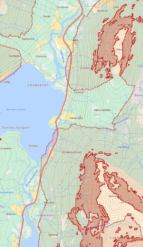 Aktsomhetskart Snøskred E6 Mjåvatn-Angermoen Tegnforklaring Utløsningsområde Snøskred Utløpsområde Snøskred Aktsomhetsområder for snøskred Utløsningsområder Utlopsområder Bakgrunn basiskart NVE