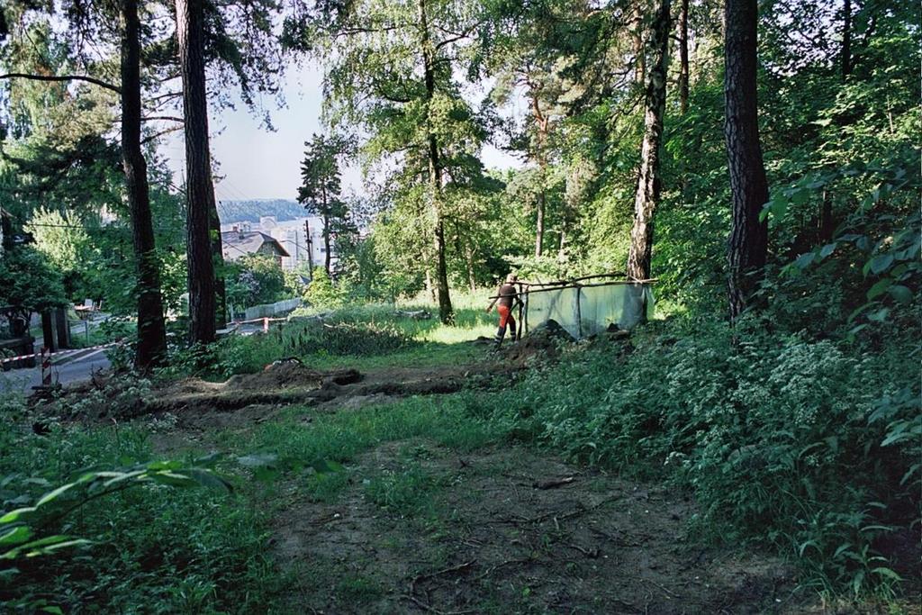 Figur 5. Undersøkelsesområdet sett mot sør (foto: /KHM). cf35266_25.jpg Figur 6.