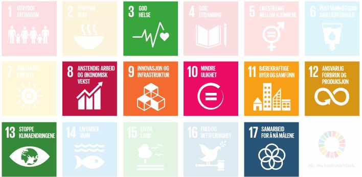 Figur 1: FNs bærekraftsmål og målene Ruter har valgt som særlig relevante 3.