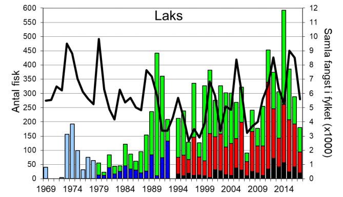 Skjel 2017 Fangststatistikk FANGST OG SKJELPRØVAR I VIKJA I perioden 1969-2017 var gjennomsnittleg årsfangst 208 laks og 26 sjøaurar.