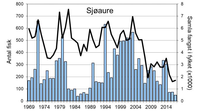 Utviklinga sidan seint på 1990- talet er delvis den same som ein har sett i resten av fylket (figur 1, linjer), men med enkelte unntak.