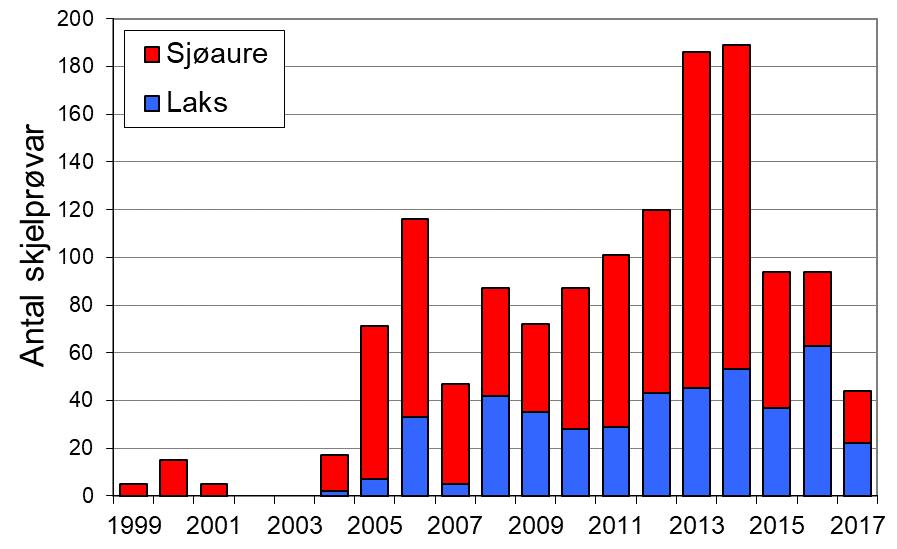 Laksefangstane har vore høgare etter 2007, i perioden 2008-17 er snittet 74 laks per år. I 2017 vart det fanga 36 laks (snittvekt 4,9 kg), som er den lågaste fangsten sidan 2007.
