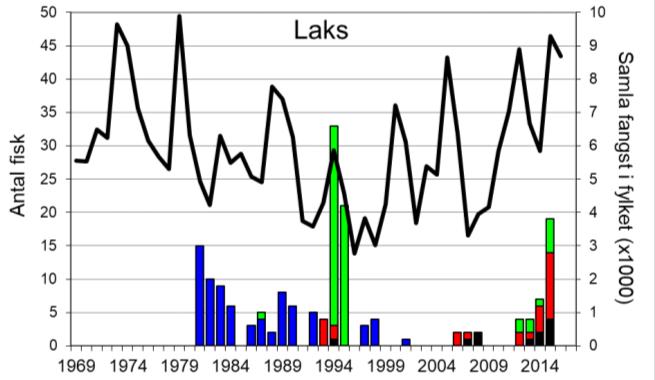 Skjel 2017 FANGST OG SKJELPRØVAR I JOSTEDØLA Fangststatistikk I perioden 1969-2017 var gjennomsnittleg årsfangst 147 sjøaurar (snittvekt 1,7 kg) og 5 laks (snittvekt 5,5 kg).