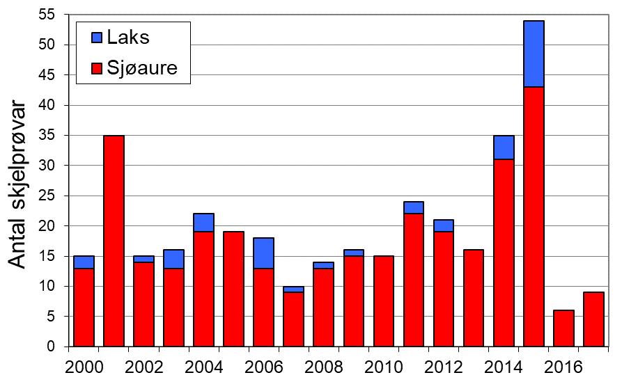 Frå 2004 til 2008 var det ei svært negativ utvikling i fangstane av sjøaure i dei fleste andre elvar i Sogn og Fjordane, før det stabiliserte seg fram til 2015, då det var ein vidare nedgang (figur