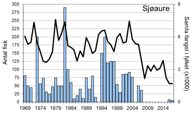 Fangsten i 2016, på 262 laks, var den klart høgaste som er registrert. I 2017 vart det fanga 124 laks (snittvekt 8,2 kg).