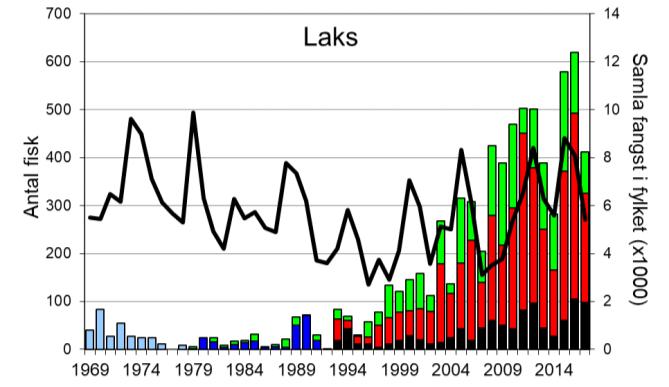 I 2017 vart det fanga 412 laks (snittvekt 5,3 kg), ein nedgang i høve til dei to føregåande åra. Fangsten av sjøaure auka frå midt på 90-talet, men med stor mellomårsvariasjon.
