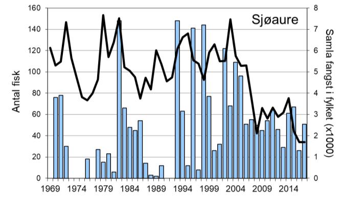 Frå tidleg på 1990-talet har mellomårsvariasjonen i laksefangstane i Flekkeelva i grove trekk vore ganske lik resten av fylket, men med ein sterkare auke i Flekkeelva frå midt på 2000-talet (figur 1,