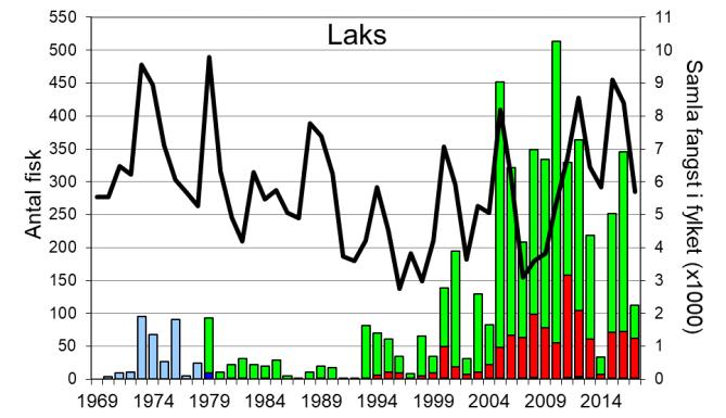 Skjel 2017 FANGST OG SKJELPRØVAR I DALSELVA I DALE Fangststatistikk I perioden 1970-99 var gjennomsnittleg årsfangst 33 laks og 12 sjøaure, men frå tidleg på 2000- talet auka fangstane sterkt, og