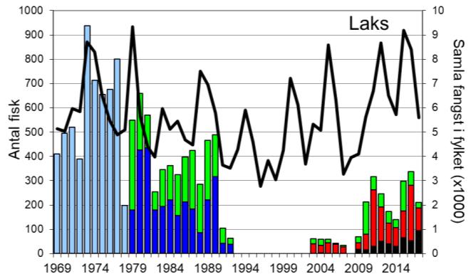Skjel 2017 Fangststatistikk FANGST OG SKJELPRØVAR I JØLSTRA I perioden 1969-1992 var gjennomsnittleg årsfangst 462 laks med snittvekt på 4,8 kg, og 387 sjøaurar med snittvekt på 1,3 kg.
