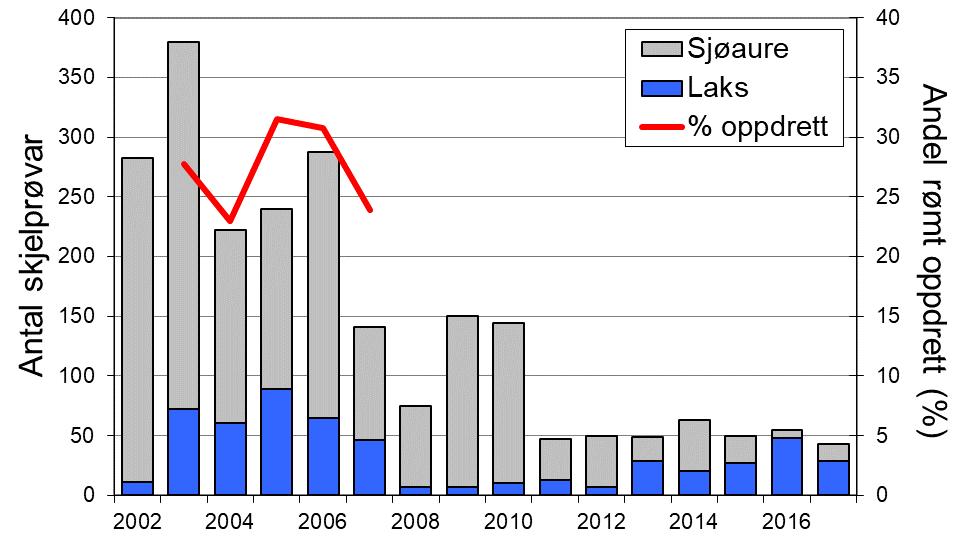 Sjøaurefangstane har minka sidan tidleg på 2000-talet, men med ein del mellomårsvariasjon. Utviklinga i sjøaurefangstane i Jølstra har i liten grad samvariert med resten av fylket (figur 1, linje).