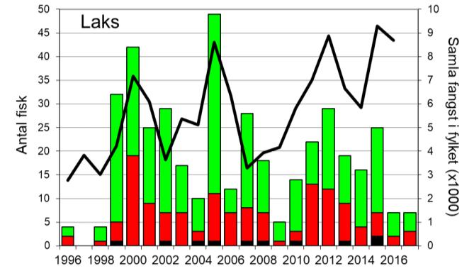 Skjel 2017 FANGST OG SKJELPRØVAR I INDREHUSELVA Fangststatistikk I perioden 1996-2017 var gjennomsnittleg årsfangst 19 laks (snittvekt 2,7 kg) og 86 sjøaurar (snittvekt 0,8 kg; figur 1, stolpar).