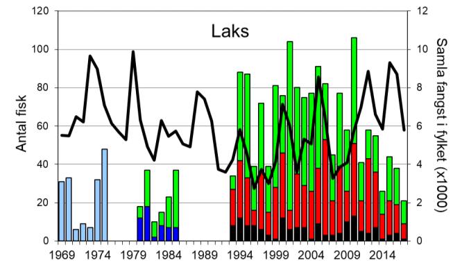 Skjel 2017 FANGST OG SKJELPRØVAR I HOPSELVA I HYEN Fangststatistikk I perioden 1969-2017 var gjennomsnittleg årsfangst 51 laks (snittvekt 3,8 kg), i 2017 vart det fanga 21 laks (snittvekt 3,2 kg),