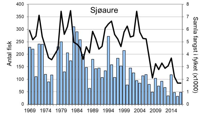 Fangsten av sjøaure i Oldenelva har hatt ei negativ utvikling sidan midt på 1990-talet, og resultatet i 2017 på 48 sjøaure, er ev dei dårlegaste som er registrert.