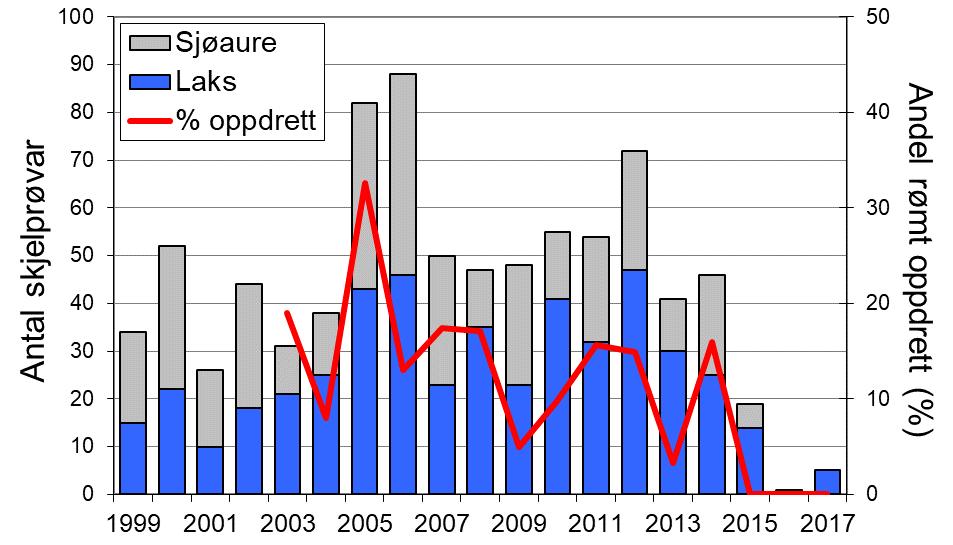 Sidan 2009 har ein høg andel laks og sjøaure vorte sett ut att i elva, i 2017 utgjorde dette høvesvis 63 % og 83 % av total fangst. FIGUR 1.