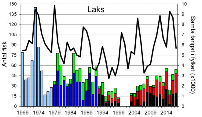 Skjel 2017 FANGST OG SKJELPRØVAR I LOENELVA Fangststatistikk I perioden 1969-2017 var gjennomsnittleg årsfangst 43 laks (snittvekt 5,8 kg) og 151 sjøaurar (snittvekt 1,4 kg).