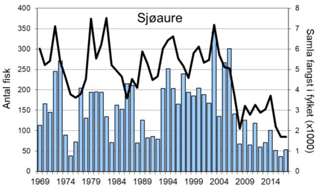 Dette er av dei betre resultata sidan 1990-talet (figur 1, stolpar). Det vart fanga 53 sjøaure i 2017 (snittvekt 2,2 kg), ein av dei lågaste fangstane sidan 1970-talet.