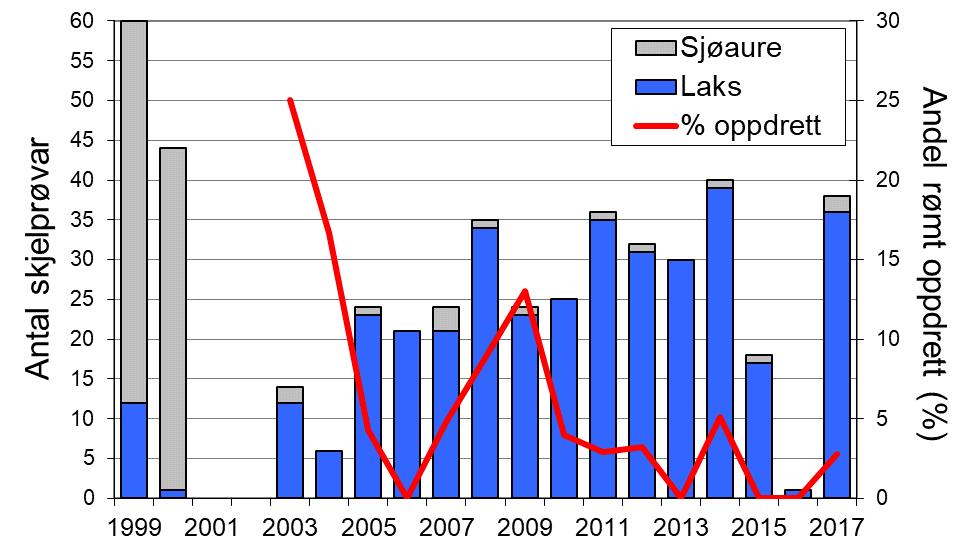 Sidan 2009 har ein del av laksane og sjøaurane vorte sette ut att i elva, i 2017 utgjorde det høvesvis 6 % og 15 % av den registrerte fangsten. FIGUR 1.