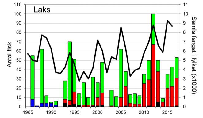 Skjel 2017 Fangststatistikk FANGST OG SKJELPRØVAR I HJALMA Laksefangstane i Hjalma har variert mykje mellom år, med 2012 som rekordår (100 laks; figur 1, stolpar).