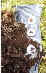 Pakka myrjord med tydelige rester etter nedpløyd
