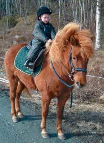 - Kaninene vokser og trives, men jeg er litt misfornøyd med antall hoer i forhold til hanner på Hermelinungene - igjen.