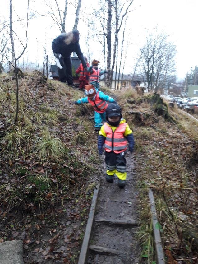 Der har vi samla sammen kongler, litt pinner og granbar, som vi har tatt med inn og studert.