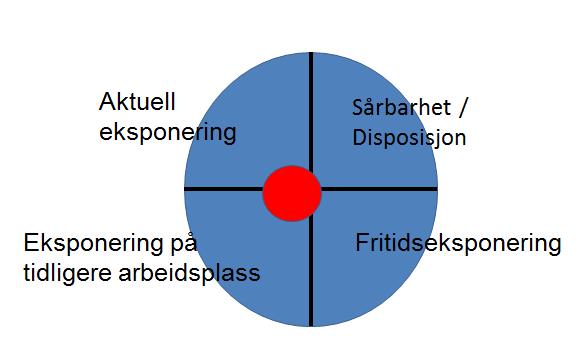 Arbeidsmedisineren representerer ekspertisen på å vurdere sammenhengen mellom eksponering og