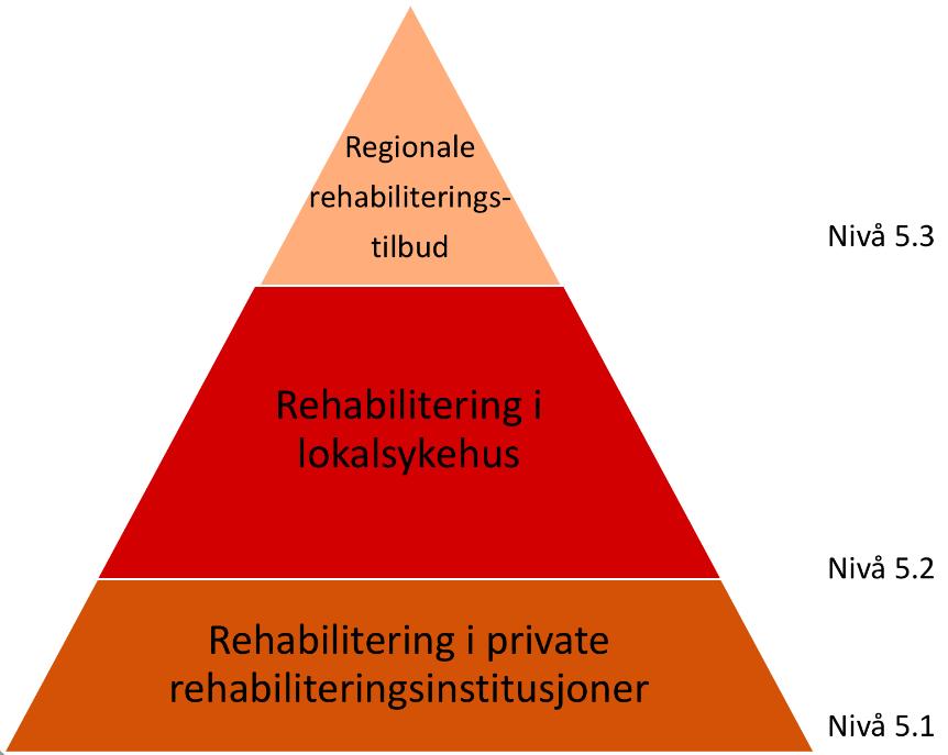 rehabiliteringsavdelinger 5, og delvis som rehabilitering i andre kliniske avdelinger 6.